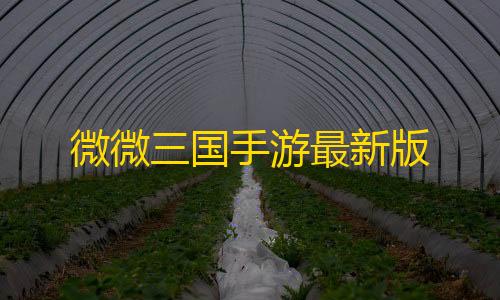 超凡先锋透视自瞄辅助器特点微微三国手游最新版